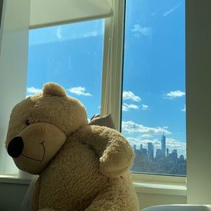 Meet your Posher, Yiran